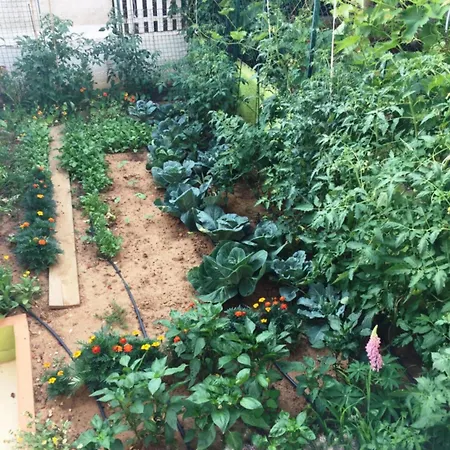 Friendly People's Gæstehus 3*