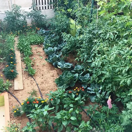 Casa de hóspedes Friendly People's