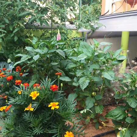 Friendly People's Konukevi