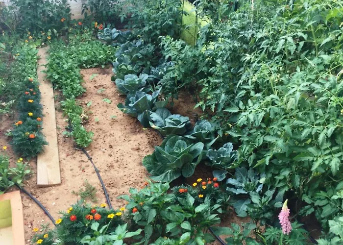 Friendly People's ゲストハウス 3*