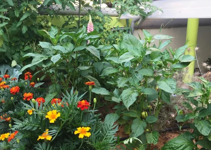 Friendly People's ゲストハウス