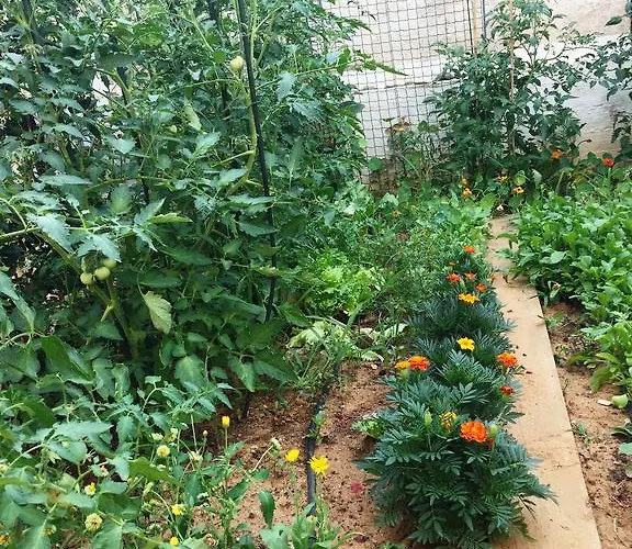 Friendly People's 3*