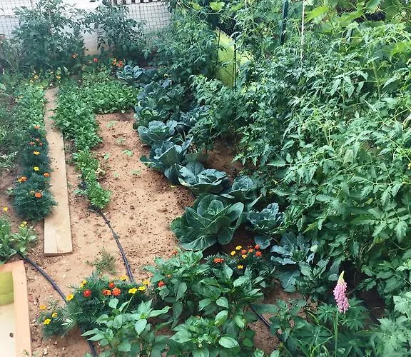 ゲストハウス Friendly People's